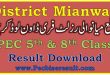 District Mianwali 5th 8th Class Result 2023