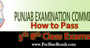 PEC Grade 5th 8th Class Exams How to pass
