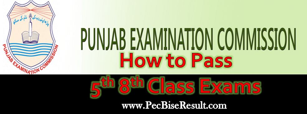 PEC Grade 5th 8th Class Exams How to pass