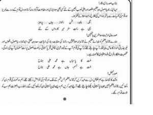 Youme Quaid Day Taqreer in Urdu