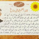 Quaid i Azam Muhammad Ali Jinnah History Pics