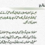 Quaid i Azam Poetry Shairy Quotes