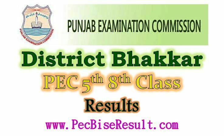 District Bhakkar 5th 8th Class Result 2023