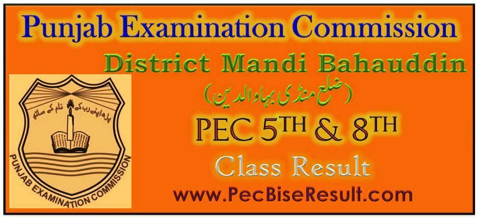 Mandi Bahauddin 5th 8th Class Result 2023
