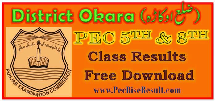 PEC 5th 8th Class Result 2023 Okara