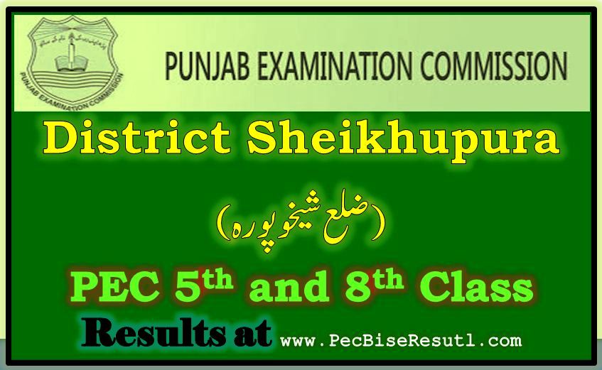 PEC 5th 8th Class Result 2023 Sheikhupura