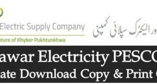 WAPDA PESCO Bill Duplicate Download Print Peshawar Electric Supply Company