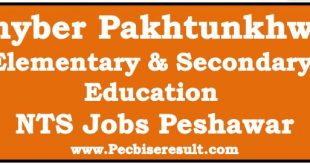 Peshawar NTS Elementary & Secondary Education Jobs 2022 Khyber Pakhtunkhwa