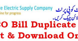 Lahore Electricity Duplicated LESCO Bill Download & Print