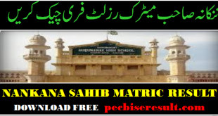 Lahore Board district Nankana Sahib Matric Result 2023