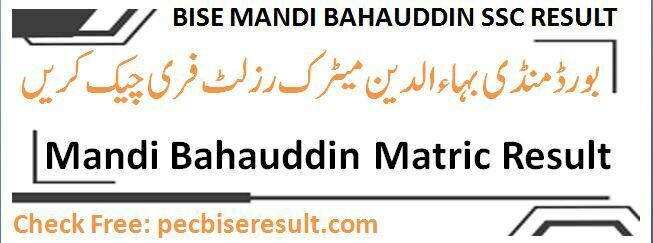 Bise Mandi Bahauddin Board Matric Result 2022 Online