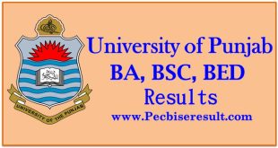 Punjab University Ba Result 2023