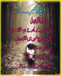 Tanha December Poetry Pictures 2022