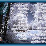 Poems Urdu December 2022