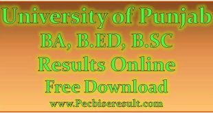 PU BA BED BSC Annual Exams Result 2023