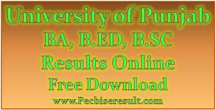 PU BA BED BSC Annual Exams Result 2022