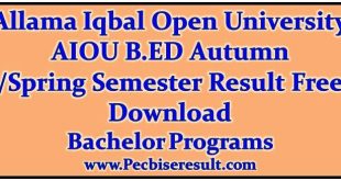 Allama Iqbal Open University Bed Result 2023