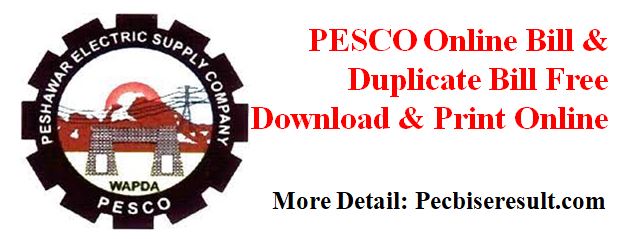 PESCO Online Bill Duplicate Bill Print