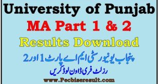 PU MA Result Part 1-2 University of Punjab 2023