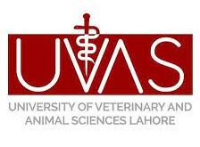 University of veterinary and animal sciences Admission open