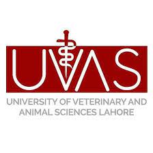 University of veterinary and animal sciences Admission open 