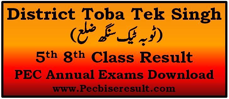District Toba Tek Singh 5th 8th Class Result 2023 PEC