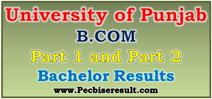 Pu B.com Part 1 & 2 Annual Result 2023