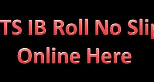 How to Download The IB Roll No Slip 2023